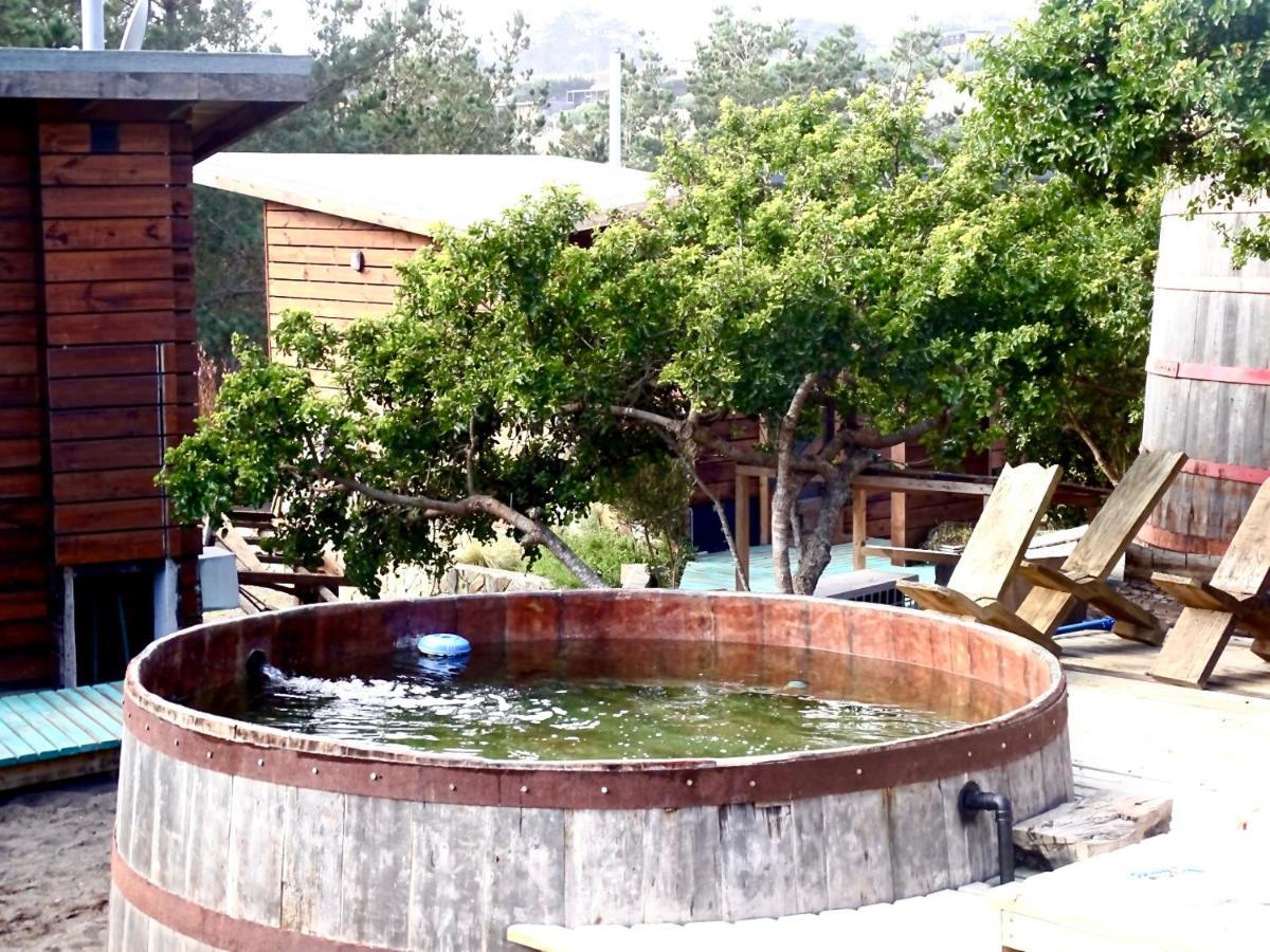Bed and Breakfast Palo Santo à Pichilemu Extérieur photo